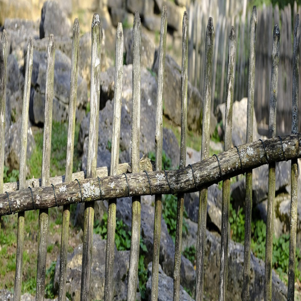 freshly cleaned and sealed wood fence