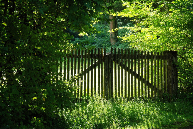 fence cleaning and sealing service